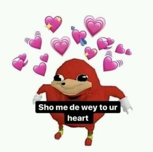 Meet your Posher, Madi